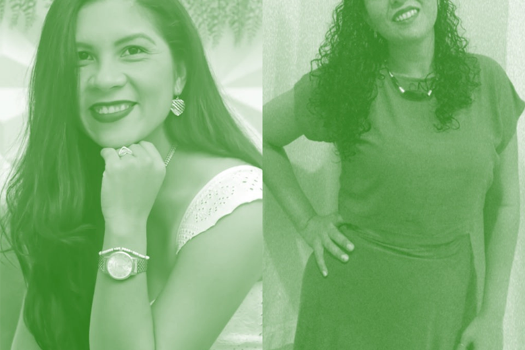 Educadores da Rede Pública de Ensino da Amazônia – Gizele C. Leal & Lidiane S. Gasparine