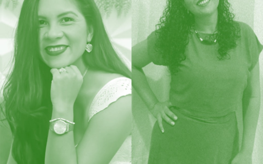 Educadores da Rede Pública de Ensino da Amazônia – Gizele C. Leal & Lidiane S. Gasparine
