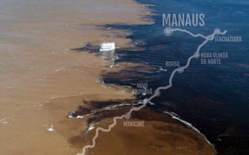 Revista Amazônia das Palavras – 2020
