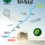 1° Edição Revista Amazônia das Palavras