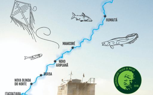 1° Edição Revista Amazônia das Palavras